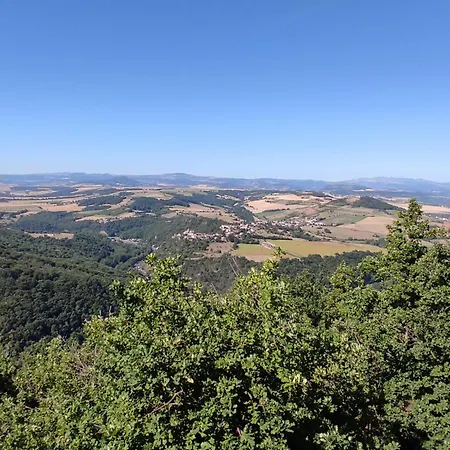 度假居 Coccinelle